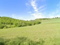 #2536018 Terreno agricolo di 8.126 mq