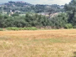 #23845 Terreno agricolo di mq25220
