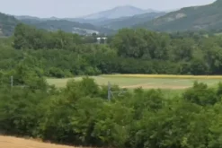 #15014 Terreno agricolo di 78.763 mq