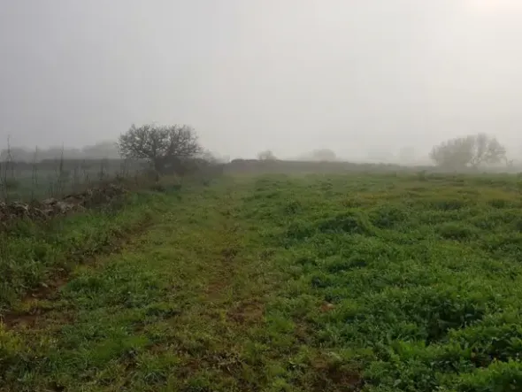 #23968 Terreno agricolo di 17.766 mq