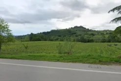 #24764 Terreno agricolo di 42.393 mq