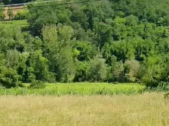 #2536794 Terreno agricolo di 1.980 mq