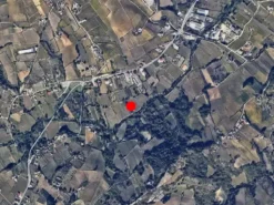 #2536794 Terreno agricolo di 1.980 mq