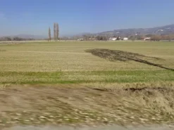 #24967 Terreno agricolo di 15.990 mq