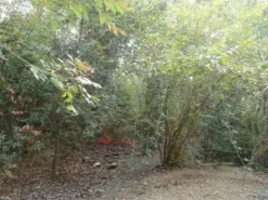 #2533011 Terreno agricolo di 22.921 mq