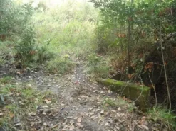 #2533011 Terreno agricolo di 22.921 mq