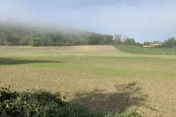 #19962 Terreno agricolo di 20157 mq