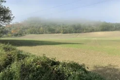#19962 Terreno agricolo di 20157 mq