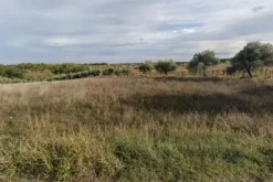 #24763 Terreno agricolo di 15.010 mq