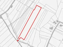 #11686 Terreno agricolo di 21.403 mq