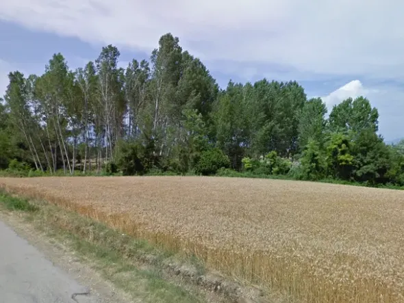 #11686 Terreno agricolo di 21.403 mq