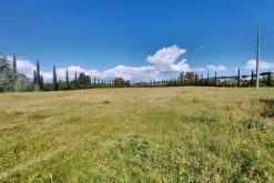 #23485 Terreno agricolo di 31.895 mq