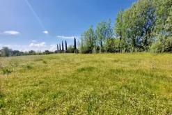 #23485 Terreno agricolo di 31.895 mq