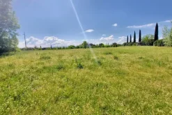 #23485 Terreno agricolo di 31.895 mq