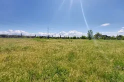 #23485 Terreno agricolo di 31.895 mq