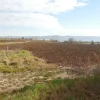 #4746 Terreno agricolo di 9.900 mq