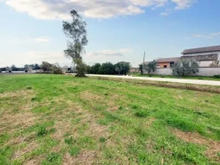 #23067 Terreno agricolo di 30.282 mq