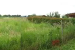 #10917 Terreno agricolo di 240 mq