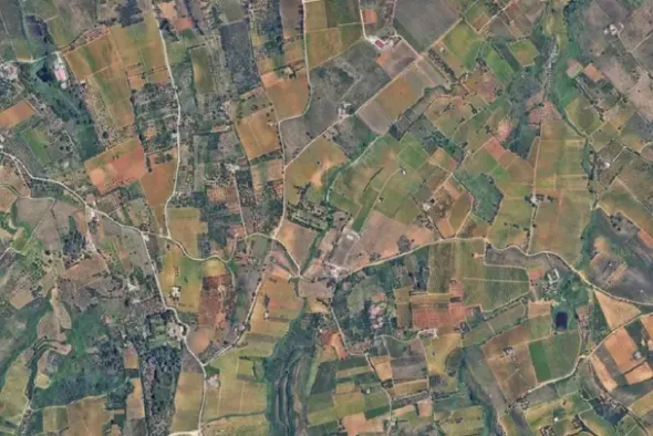 #25488 Terreno agricolo di 54.382 mq