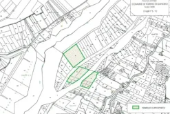 #4778 Terreno agricolo di 40.550 mq