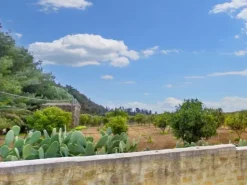 #25844 Terreno agricolo di 26.047 mq coltivato ad agrumeto e oliveto