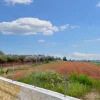 #25843 Terreno agricolo di 22.935 mq coltivato ad agrumeto