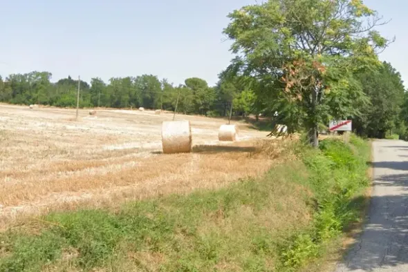 #706 Terreno agricolo (ex produttivo)
