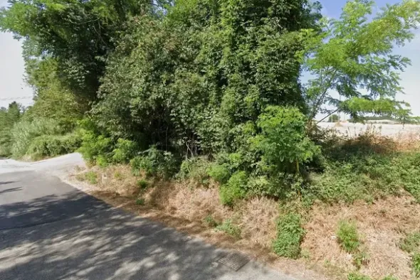#706 Terreno agricolo (ex produttivo)