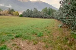 #22777 Terreno agricolo in zona di campagna