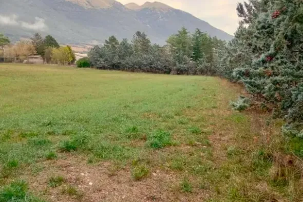 #22777 Terreno agricolo in zona di campagna
