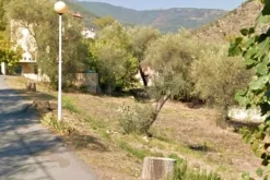 #13116 Terreno agricolo in zona residenziale collinare