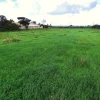 #24972 Terreno agricolo in zona rurale di espansione