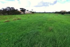 #24972 Terreno agricolo in zona rurale di espansione