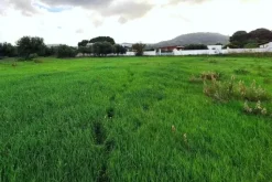 #24972 Terreno agricolo in zona rurale di espansione