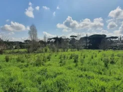 #24789 Terreno a verde privato attrezzato