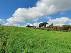 #24789 Terreno a verde privato attrezzato