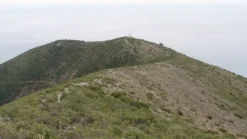 Terreno Ceriale (SV) monte Piccaro