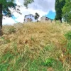 #2639454 Terreno collinare a destinazione agricola