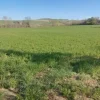 #20165 Terreno collinare residenziale di 12150 mq