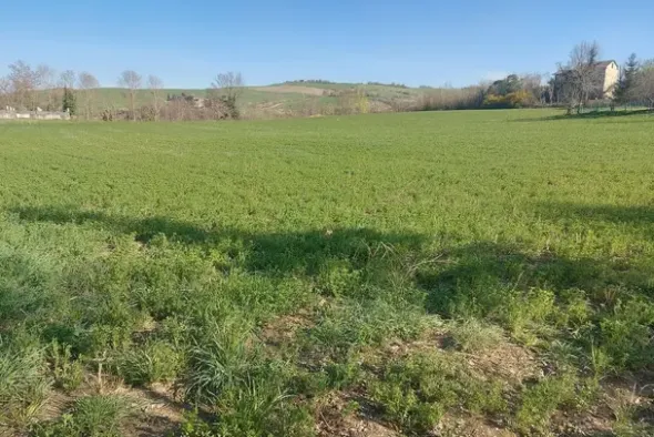 #20165 Terreno collinare residenziale di 12150 mq