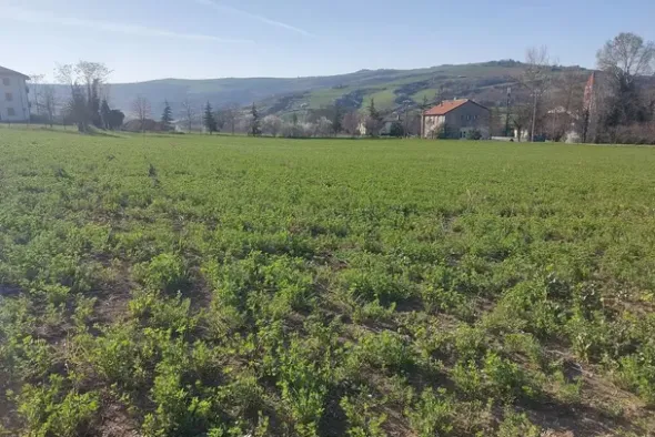 #20165 Terreno collinare residenziale di 12150 mq