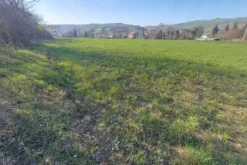 #20165 Terreno collinare residenziale di 12150 mq