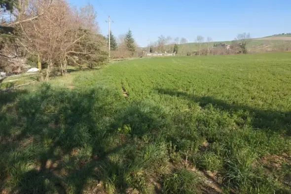 #20165 Terreno collinare residenziale di 12150 mq