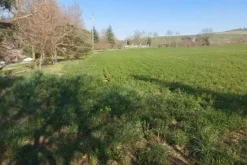 #20165 Terreno collinare residenziale di 12150 mq