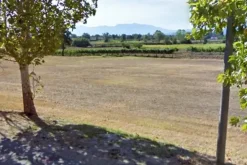 #12686 Terreno commerciale e per servizi pubblici