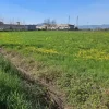#23524 Terreno commerciale-industriale-direzionale ad intervento diretto fronte SP 349