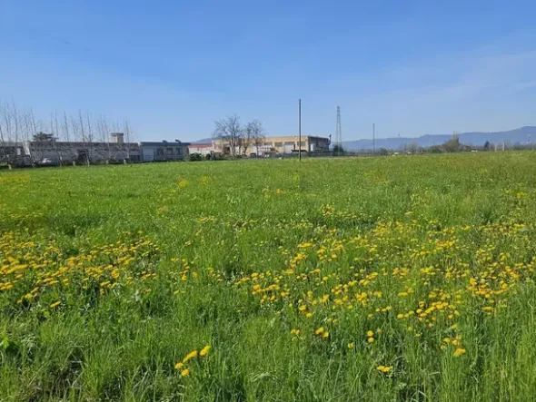 #23524 Terreno commerciale-industriale-direzionale ad intervento diretto fronte SP 349