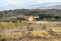 #25915 Terreno con ex cava dismessa di 26075 mq