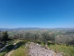 #20508 Terreno con fabbricato da ripristinare