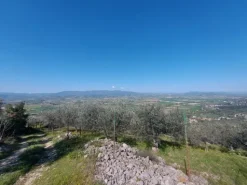 #20508 Terreno con fabbricato da ripristinare